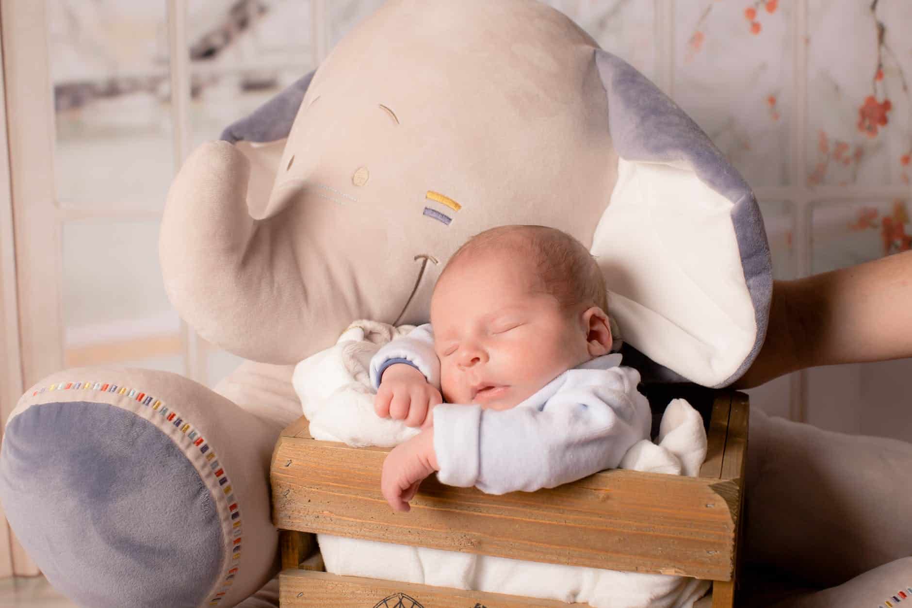 baby in wooden box together with elephant plush toy